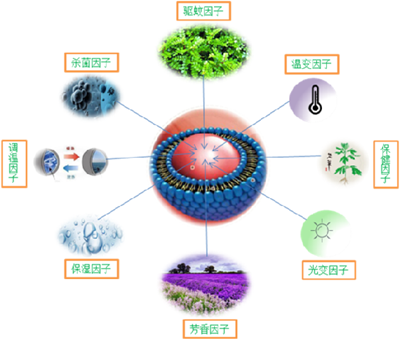微信图片_20220708130737_副本.png
